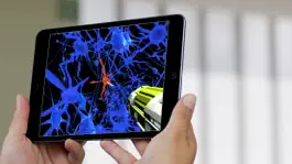 Game screenshot VR In Mind 2017 hack