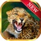 Wild Panther Slots - Best Casino Slots Machine