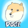 Wow Such Doge