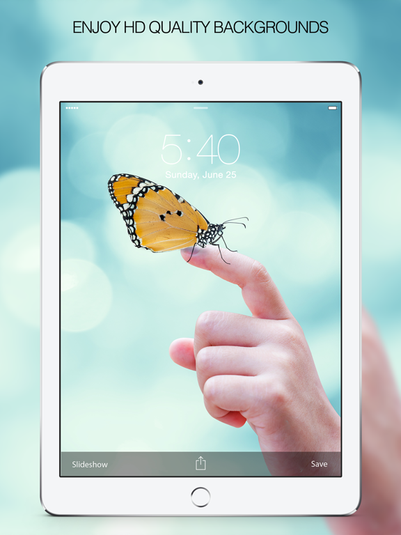 Screenshot #5 pour Butterfly Pictures & Butterfly Wallpapers Free