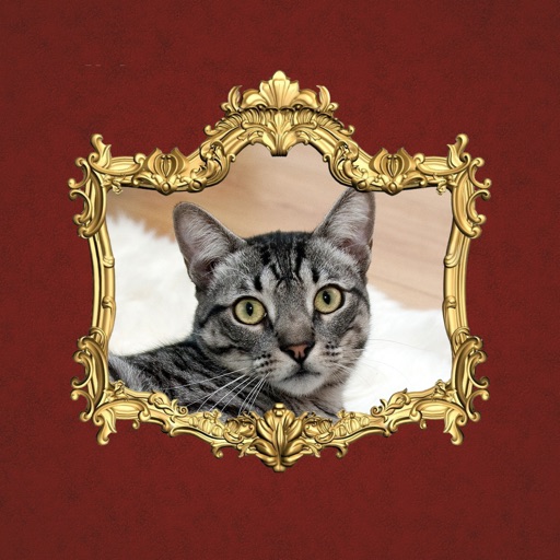 Mirror Mirror - Sticker Frames - AppWisp.com