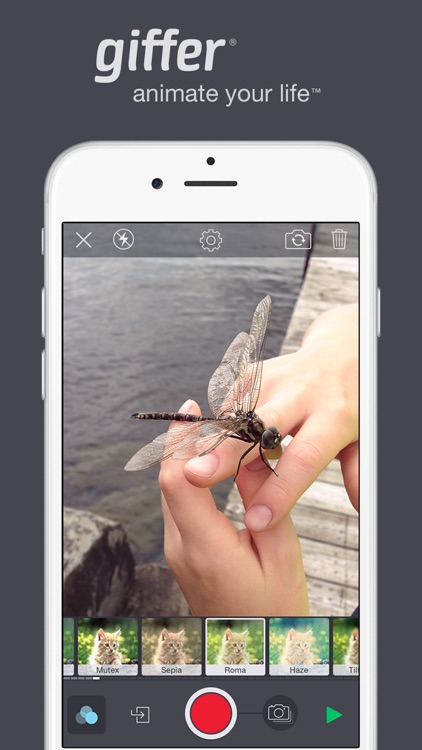 Giffer - Animated GIF Maker App