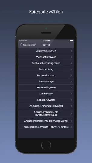 Screenshot von VAG Service - Audi, Porsche, Seat, Skoda, VW. auf dem iPhone 4