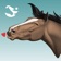 Star Stable Stickers app icon - Stickers app for iPhone