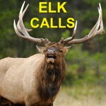 Download Elk Calls & Elk Bugle for Elk Hunting app