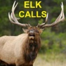 Get Elk Calls & Elk Bugle for Elk Hunting for iOS, iPhone, iPad Aso Report