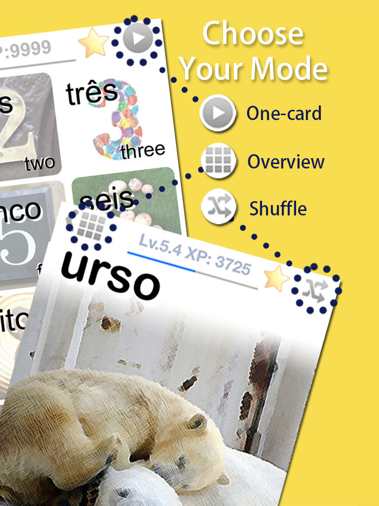 Learn Brazilian Portuguese Vocabulary FlashCards screenshot 10