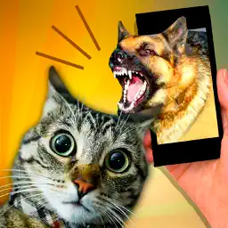 Scare Cat - Dog Prank app icon