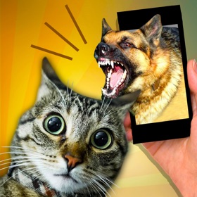 Snímky obrazovky (3) Scare Cat - Dog Prank