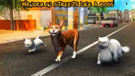 Game screenshot Street Cat Sim 2016 hack