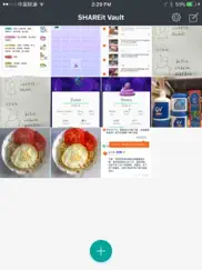 shareitvault (lock video&pics) айпад изображения 2