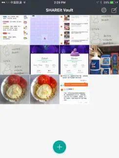 SHAREitVault (Lock Video&Pics) iPad image 2