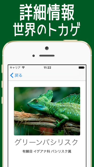 とかげ図鑑 世界の品種 =トカゲ125種類=のおすすめ画像2