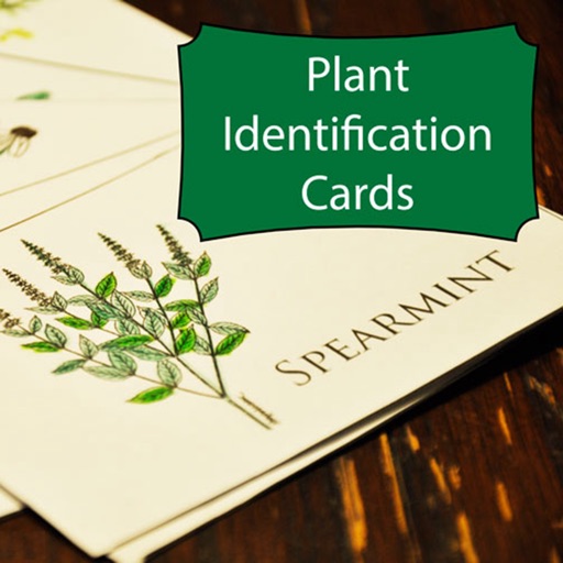 Plant Identification Glossary|Garden Guides icon