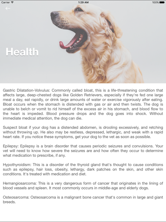 Golden Retriever: Dog Breed Guide iPad screenshot 4 - Reference app