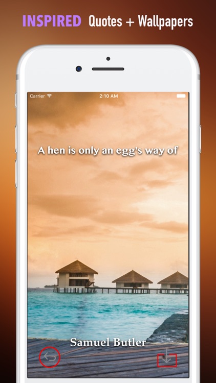 Maldives Wallpapers HD- Quotes and Art Pictures screenshot-4