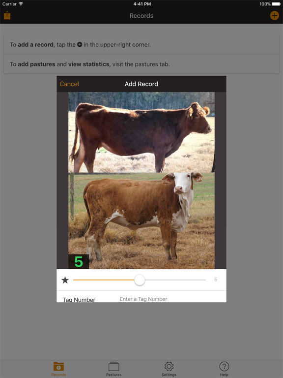 Screenshot #4 pour Beef Cow BCS