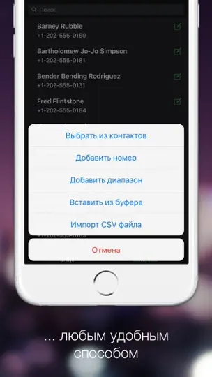 Скриншот BlackList: блокировщик звонков на iPhone 4