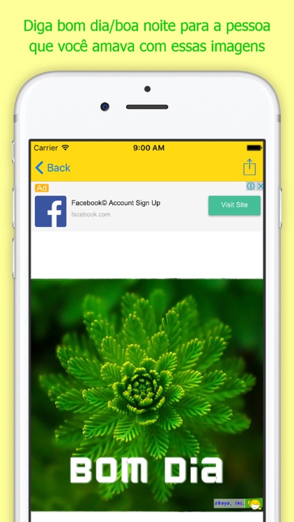 Hola! Bom Dia screenshot-4