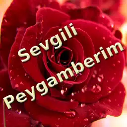 Peygamberim app icon