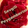 Get Peygamberim for iOS, iPhone, iPad Aso Report
