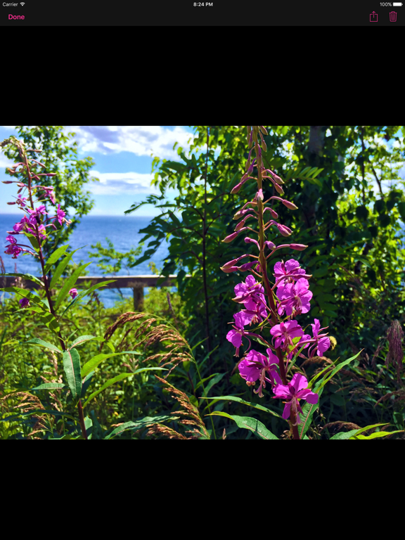 Screenshot #5 pour Double Vision