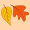 Happy Autumn Hand Drawn Stickers