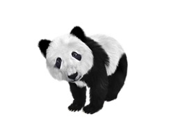 Panda Two Sticker Pack