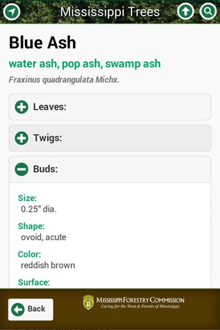 Mississippi Treesのおすすめ画像4