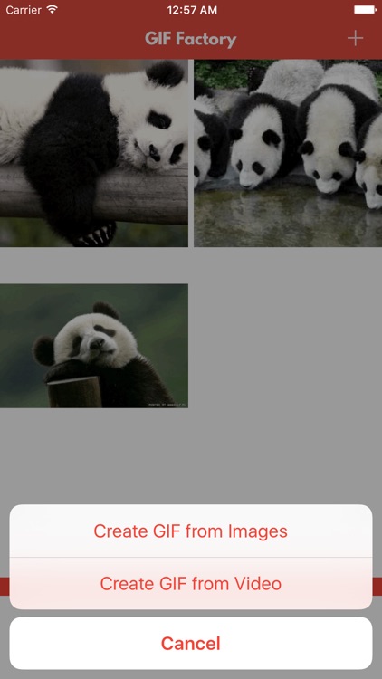 GIF Maker - Animated GIF Generator/Producer