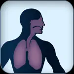 Unser Körper in 3D App Problems