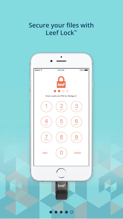 iBridge 3 screenshot-4