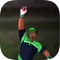 Cricket Fielder Challenge