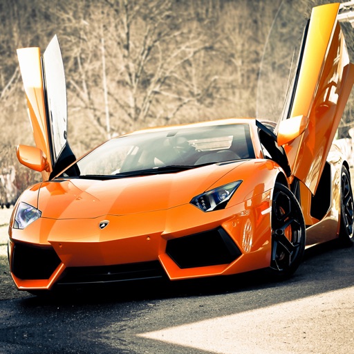 Pictures for Lamborghini Cars HD icon