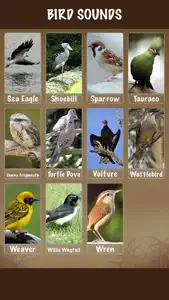Bird Soundx screenshot #3 for iPhone
