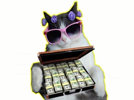 Let's Meow