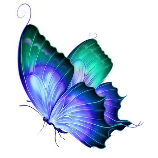 Butterfly - Collection icon