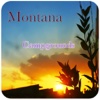 Montana Campgrounds Travel Guide