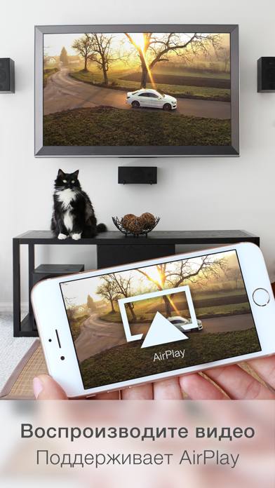 Поддерживает airplay