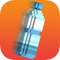 Water Bottle Flip WBF 2K17 Voxel Pro