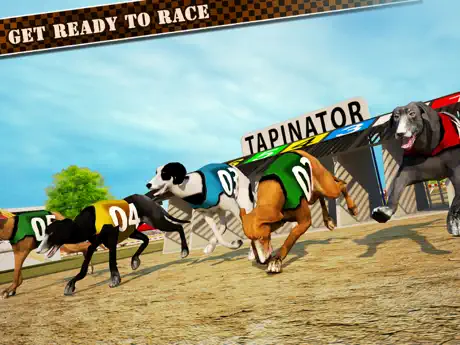 Dog Race & Stunts 2016