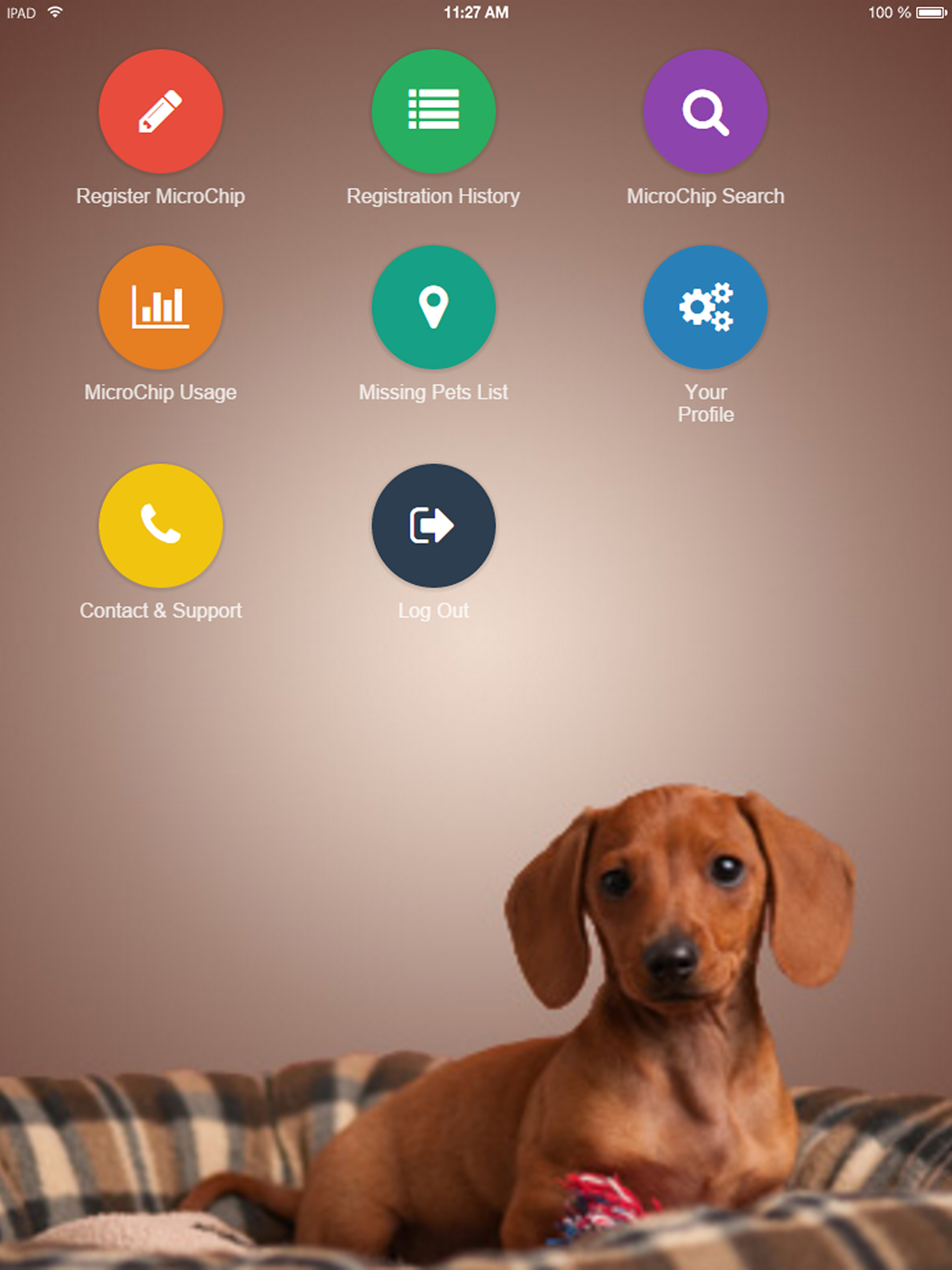 AVID MicroChip Services
