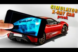 Game screenshot Simulator X-Ray Car Prank hack