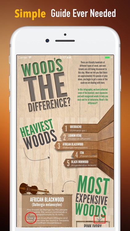Woodworking Tutorial-Beginners Tips and Guide