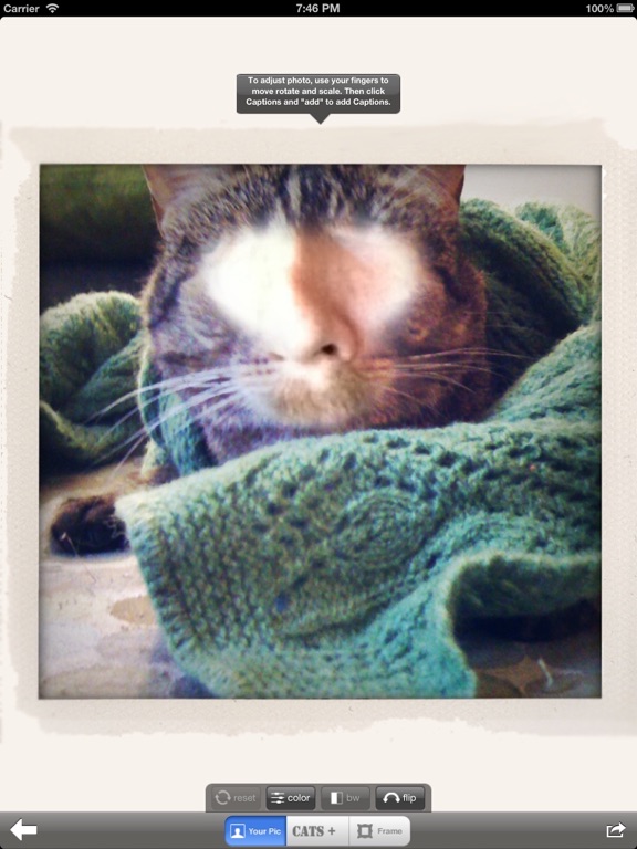 Cat Me! iPad screenshot 5 - Photo & Video app