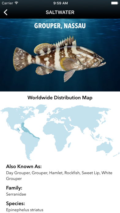 Fishopedia iPhone screenshot 4 - Sports app