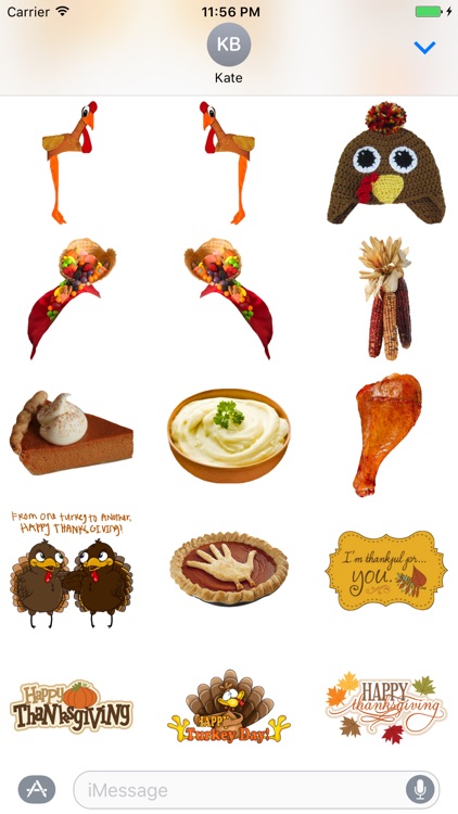 Thanksgiving Costumes screenshot-3