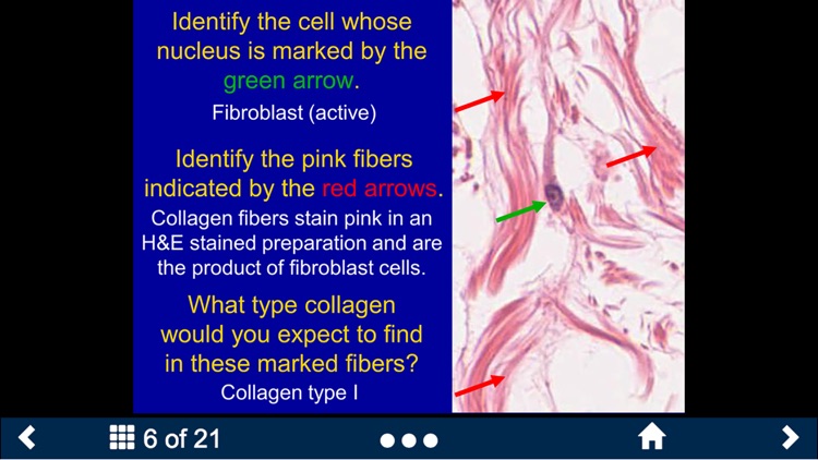 Histology - Basic Tissues screenshot-4