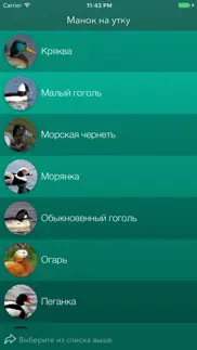 Охотничий манок на утку айфон картинки 2