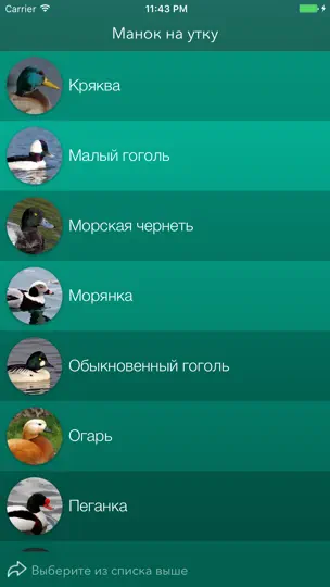 Скриншот Охотничий манок на утку на iPhone 2